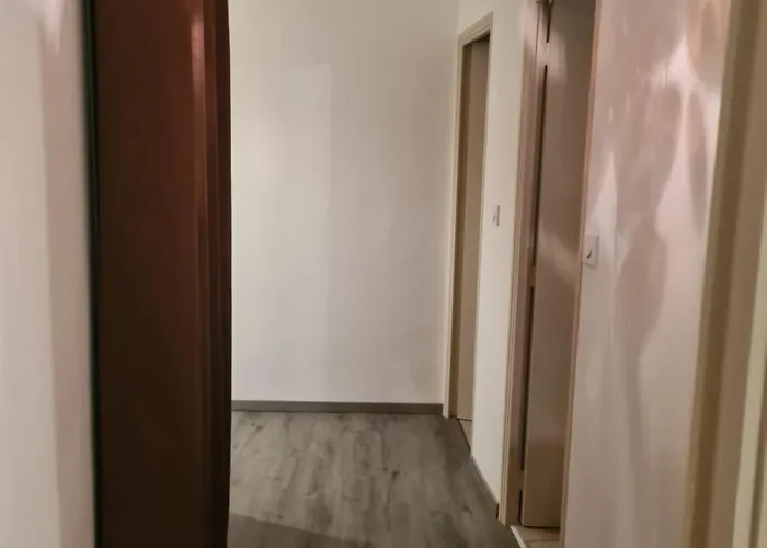 Apartman Renove Avec Jardin *